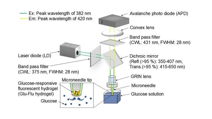 First optical microneedle device in the world enabling glucose ...