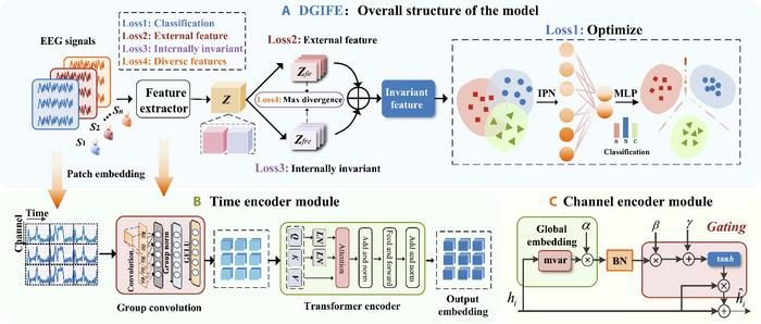 A domain generalization method for EEG based on domain-invariant ...