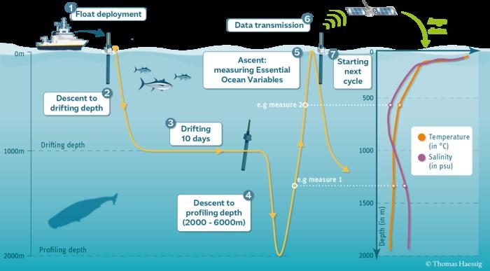 New study reveals hidden ocean chemistry