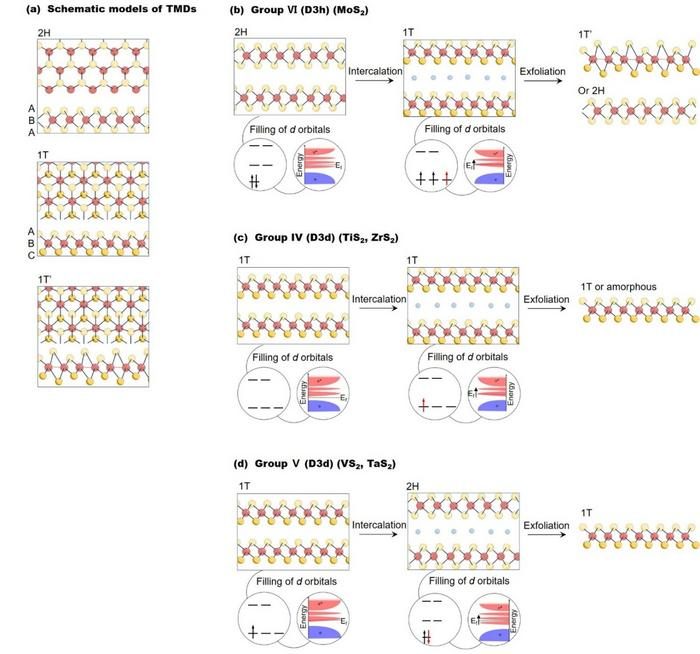 Lithium intercalation deciphers phase transition of 2D materials ...
