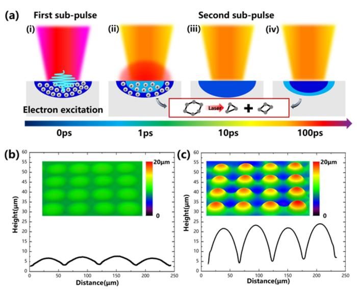 Curvature-optimized multilevel SERS substrates formed by femtosecond ...