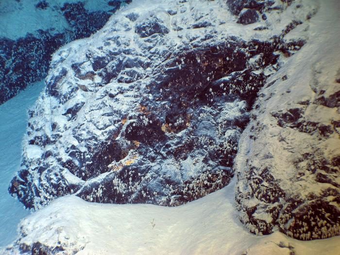 Scientists discover thriving hard-substrate fauna in Oceania’s deep sea