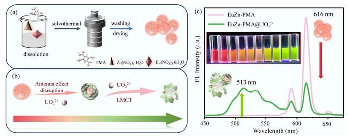 Dual-metal fluorescent probe enables ultrasensitive, color-changing uranium detection with a smartphone