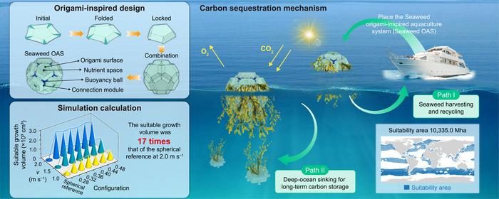 Origami geometry could make open-ocean seaweed farming scalable for ...