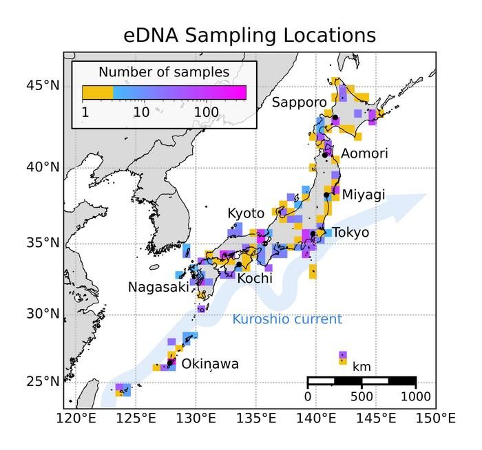 Japan’s largest marine DNA study detects 126 fish species further north than previously recorded