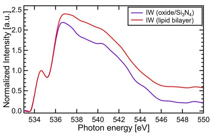 Probing water at material surfaces using X-rays