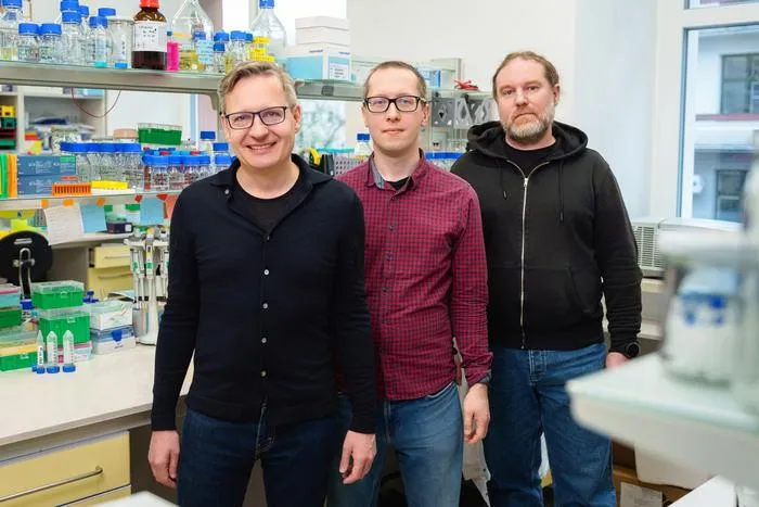 Polish researchers described a new mechanism that improves the efficiency of mRNA-based therapies