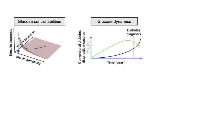 Relationship between a new CGM-derived index and blood glucose control ability