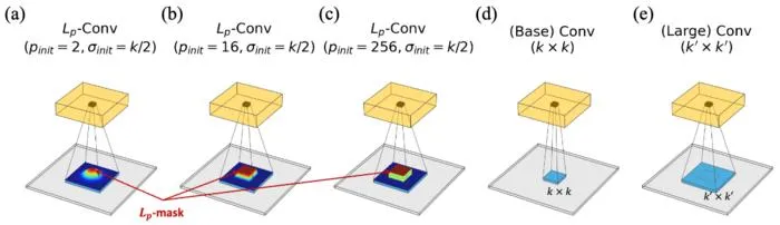 Figure 2. Brain-Inspired Design of Lp-Convolution