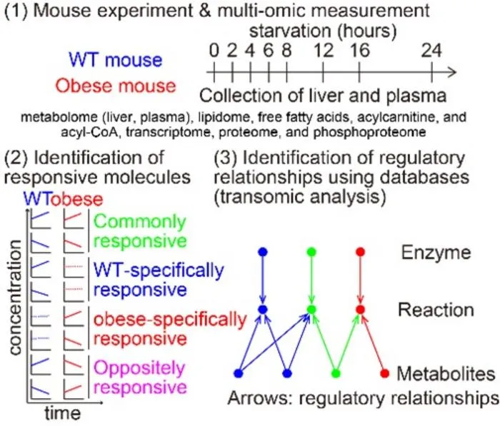 Experiment overview