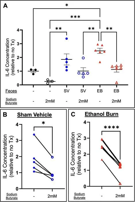 Butyrate treatment limits inflammatory induction by intestinal faeces.