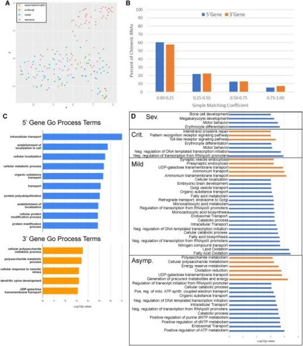 Chimeric RNA expression and parental gene characterization.