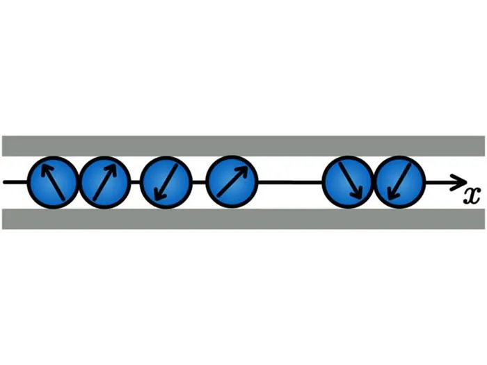 graphic illustrating single file dynamics