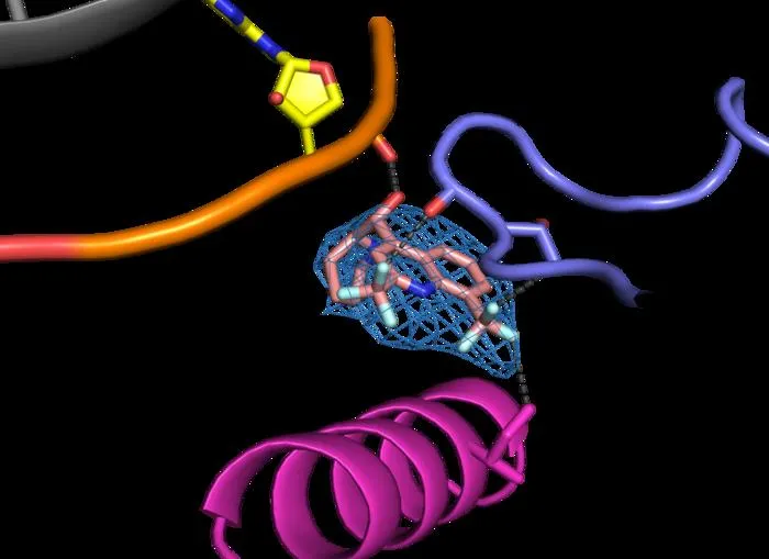 The newly identified mefloquine binding site