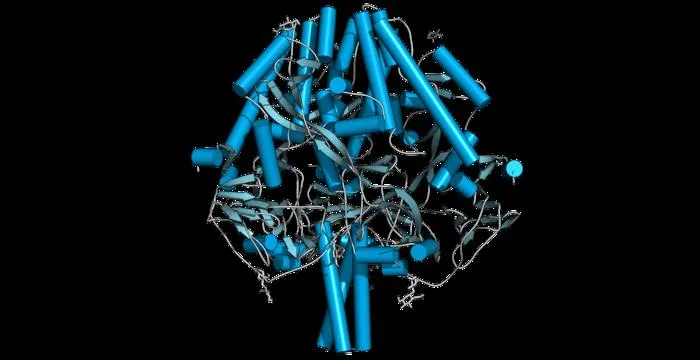 Measles Blueprint