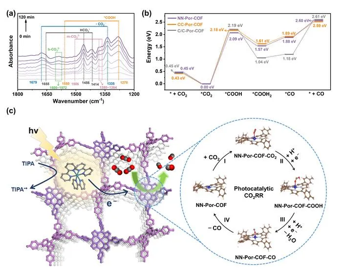 Photocatalytic Mechanism.