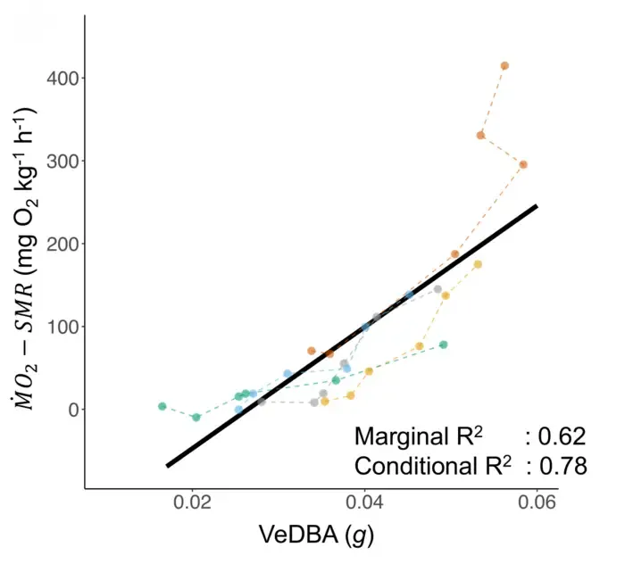 Oxygen consumption can be effectively estimated using video-based dynamic body acceleration (DBA)