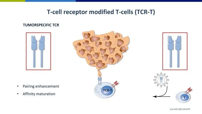 T-cell receptor-modified T cells
