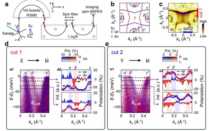 Fig. 3 Observation of C-paired SVL with alternating sign of spin polarization S_z.