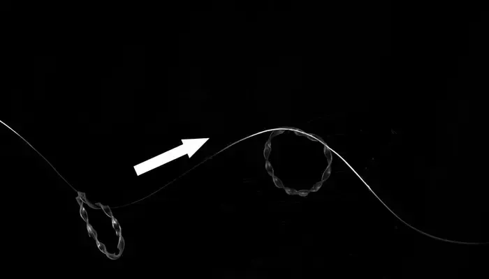 Soft robot moves along aerial wire