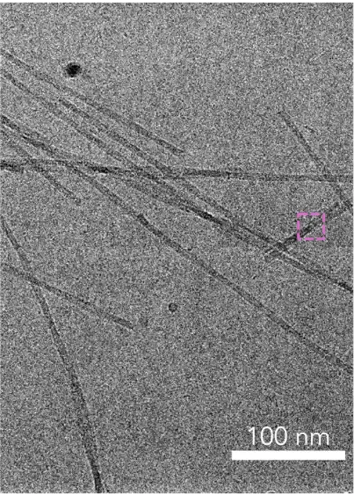 Fibrils with prion-like proteins