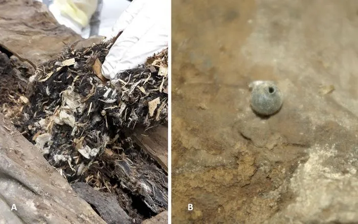 Foreign material found in mummy