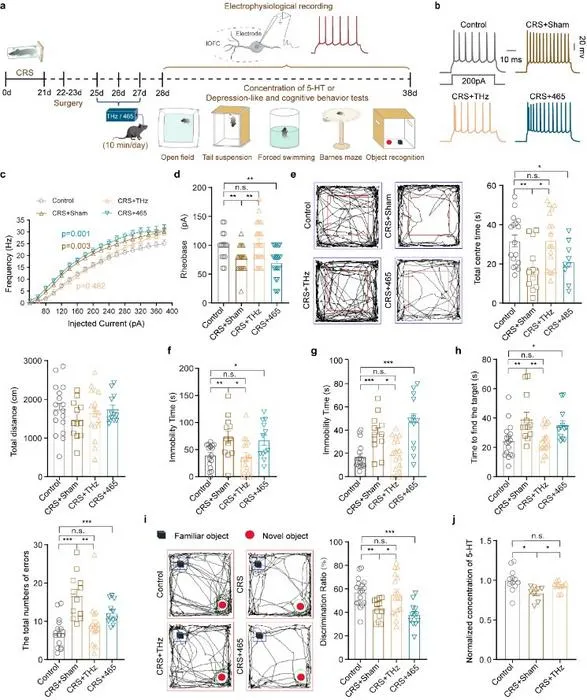 Figure 1: Effects of THz illumination on lOFCGlu neuronal activity and behavior in CRS mice.