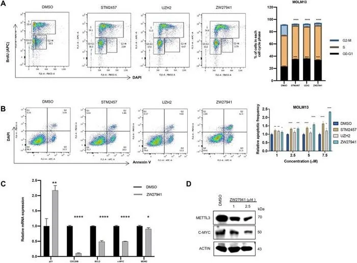 ZW27941 is highly potent in cell cycle progression and inducing apoptosis.