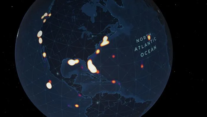 Dive Concentration of Visual Observations in the North Atlantic