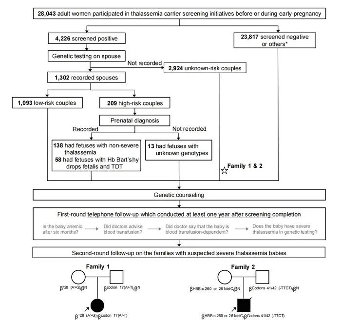 BGI Genomics High Efficiency of Severe Thalassemia Prevention with HTS based Carrier Screening