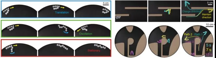 Picture 2. Movement of linkbots showing different gaits and directions depending on their link configuration.