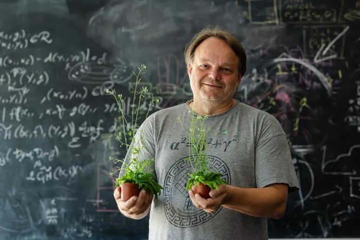 Jiří Friml with mouse-ear cress