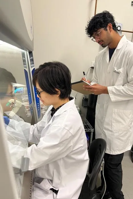 Scientists work on a cell culture