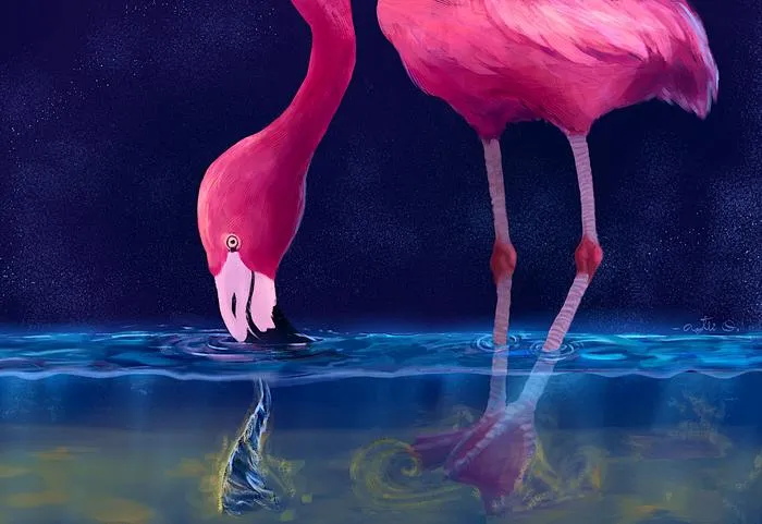 Flamingos create water vortices to capture prey