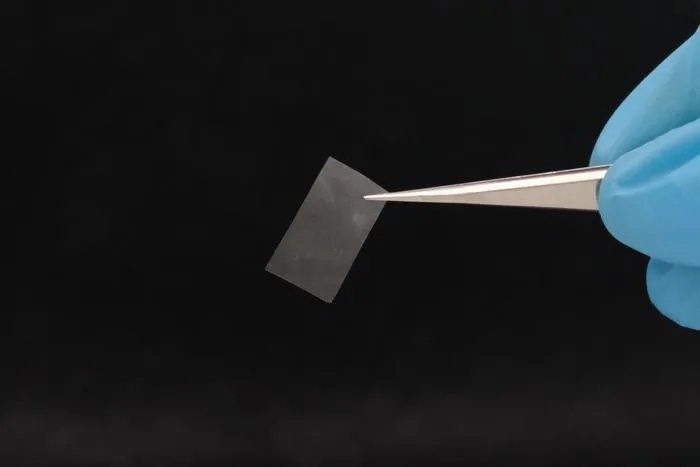 Mycelial film