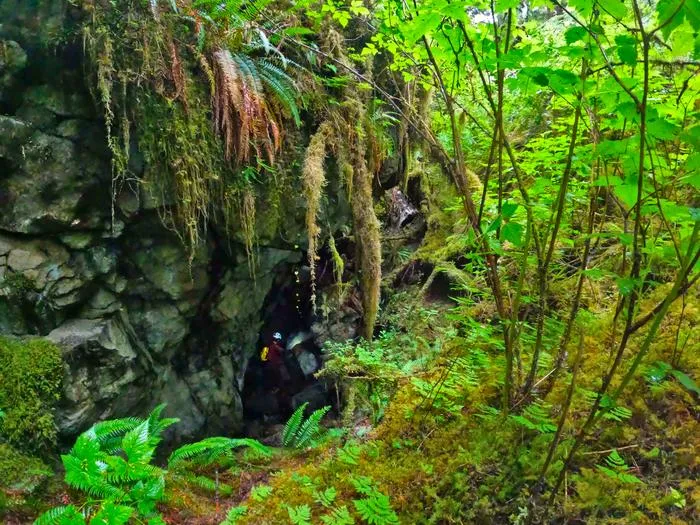 Prince of Wales Island (Alaska)