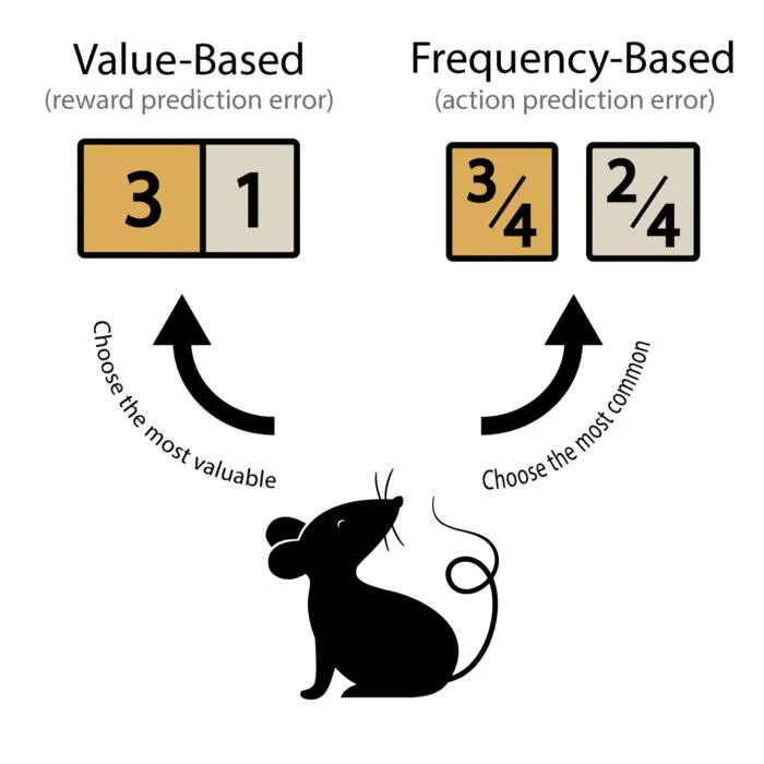 Dual dopaminergic teaching signals