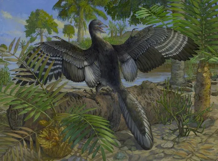 Chicago Archaeopteryx ecological restoration drawing by Michael Rothman