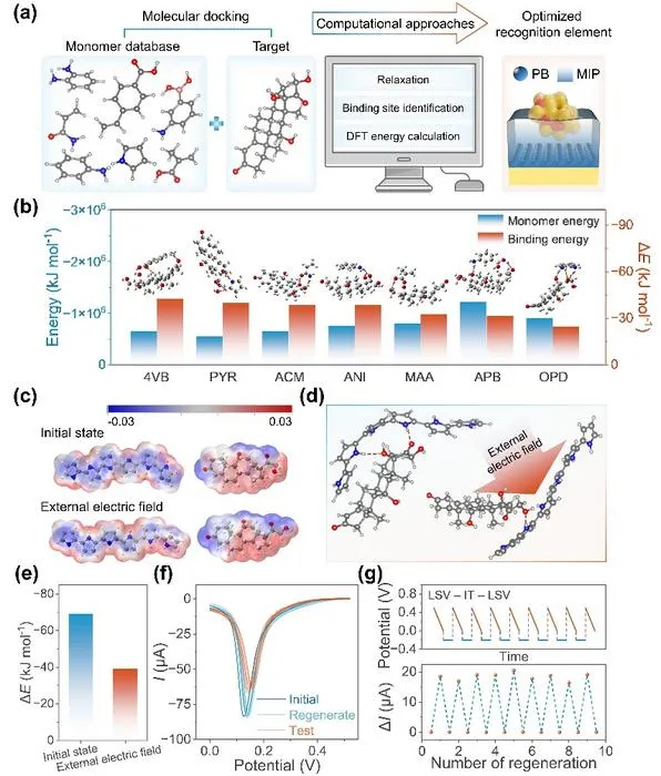 DFT guides the optimization of cortisol MIP