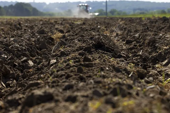 Soil fertility