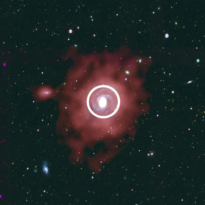 Optical and gas overlay