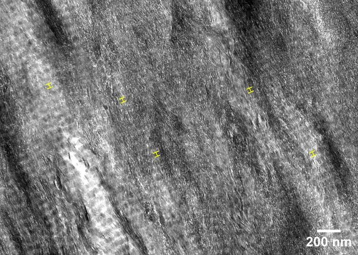 Mineralized Regions