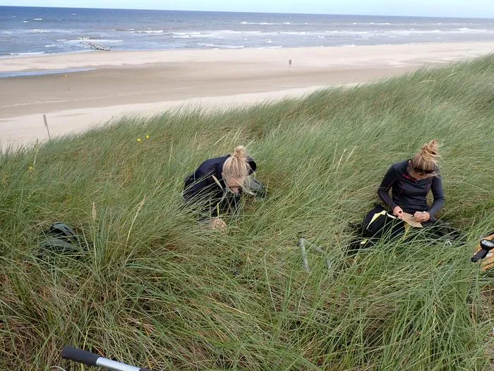 Vegetation survey in the dunes - photo Eva Lansu