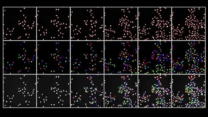 Image segmentation for cell tracking across multiple cell generations under the microscope