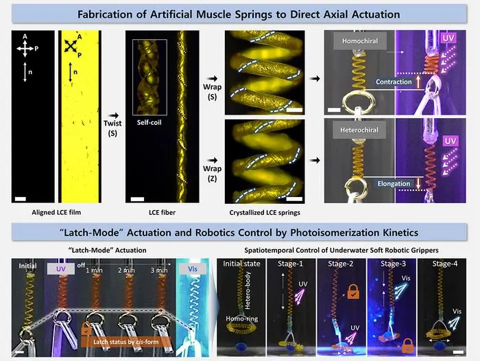 [Fig 2] Designing Structures and “Latch-Mode” Actuation of Artificial Muscles to Control Robotic Systems