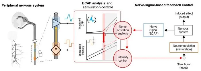 Schematic illustration of ECAP-based control mechanism
