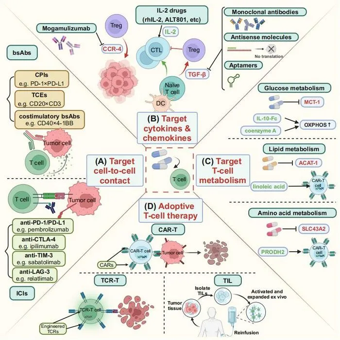 Therapeutic Strategies Targeting T-Cell Plasticity