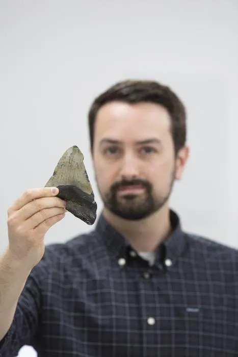 Fossilized Tooth