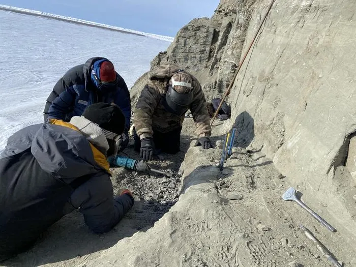 Excavation