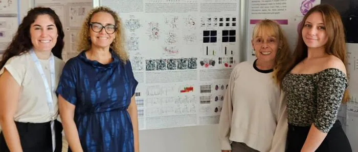 Findings on the protein that forms loops in the human genome